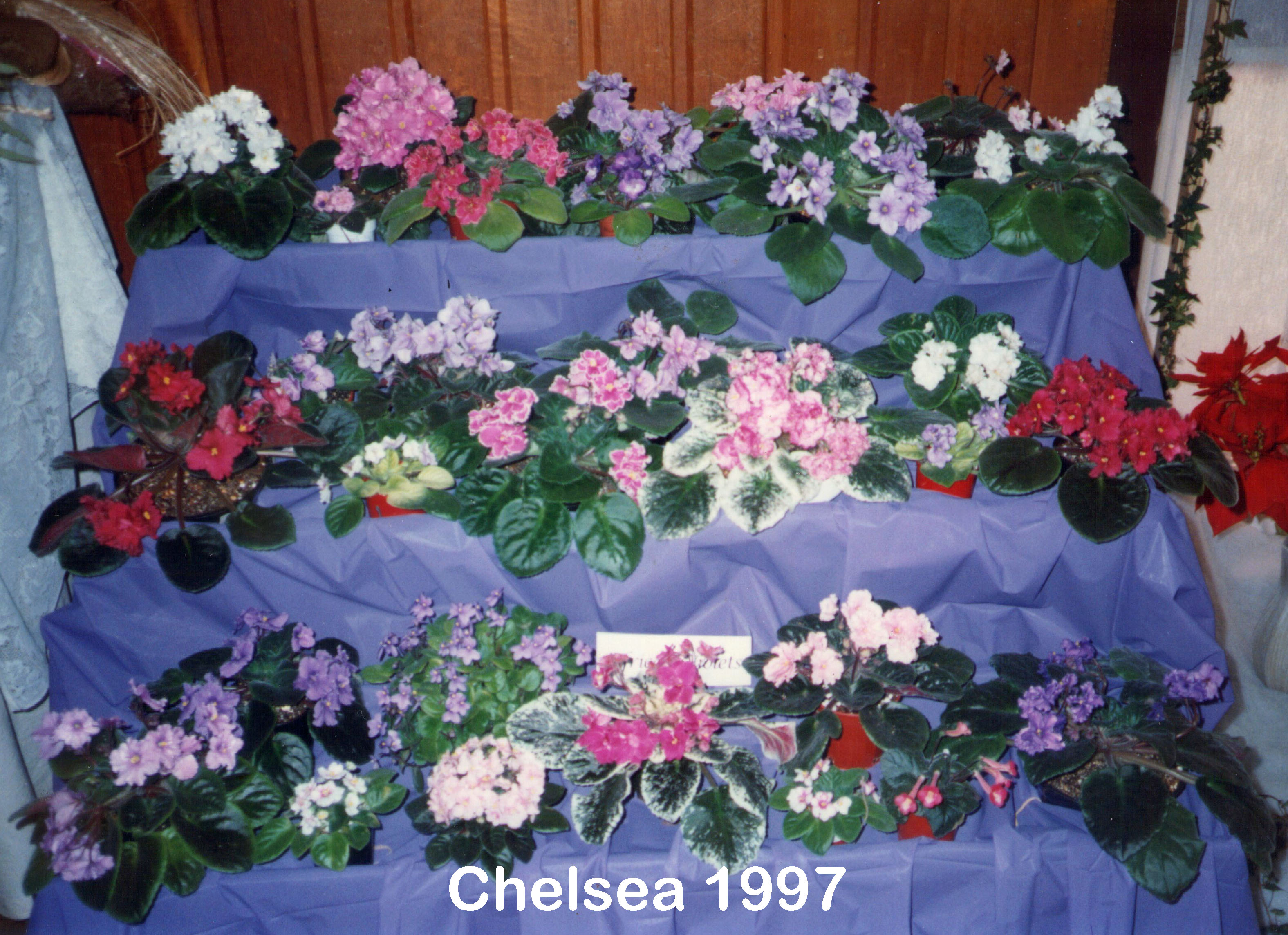 Chelsea Flower Show 1997