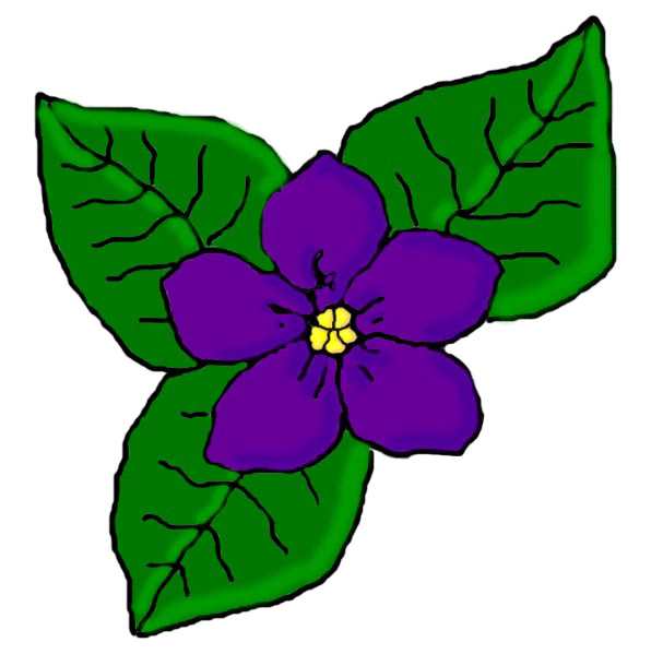 African Violet Society
